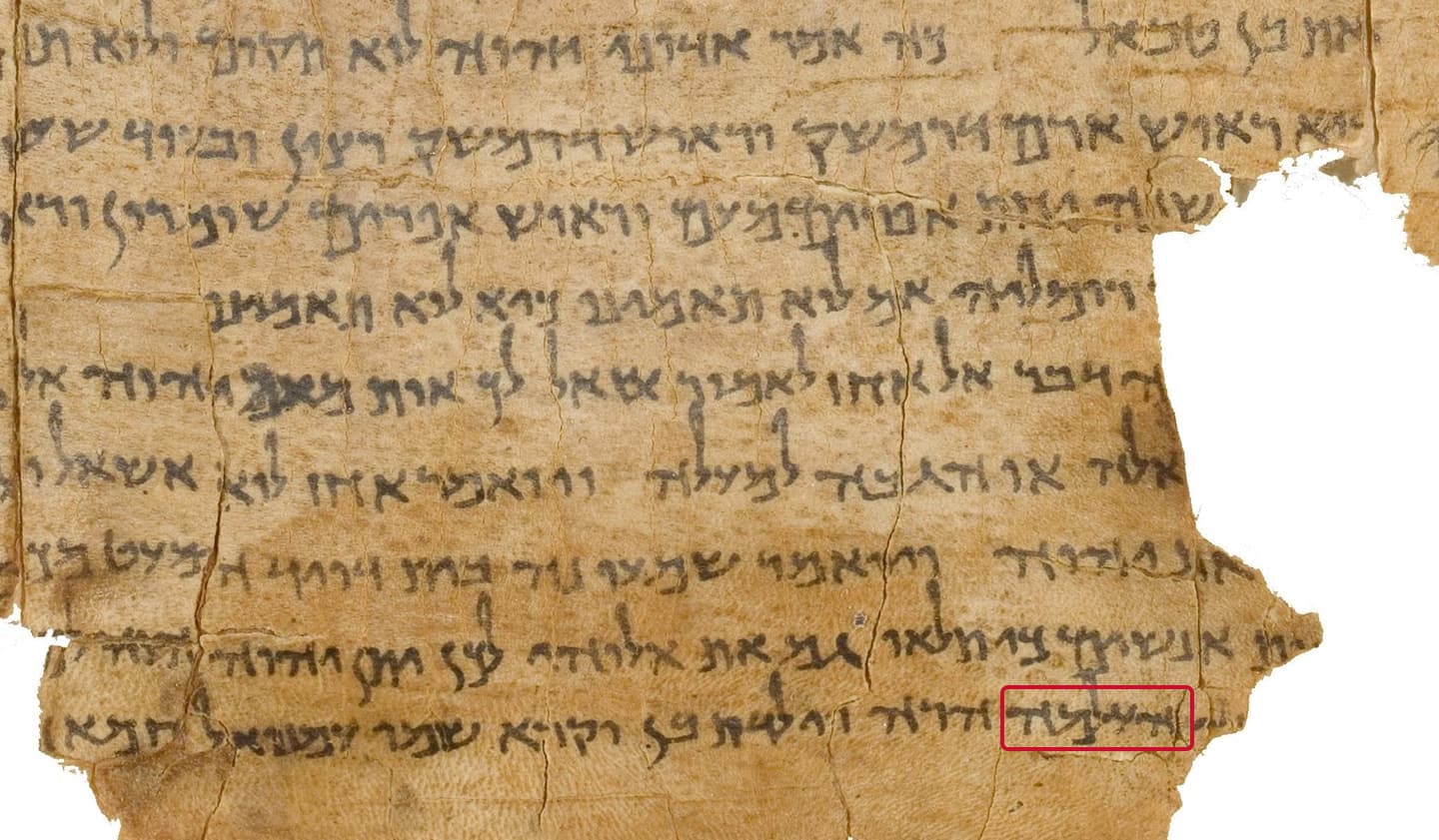 A column of Hebrew handwriting on brown, cracked parchment with a torn lower edge. One word on the bottom line, the Hebrew ha-almah, is outlined in red.